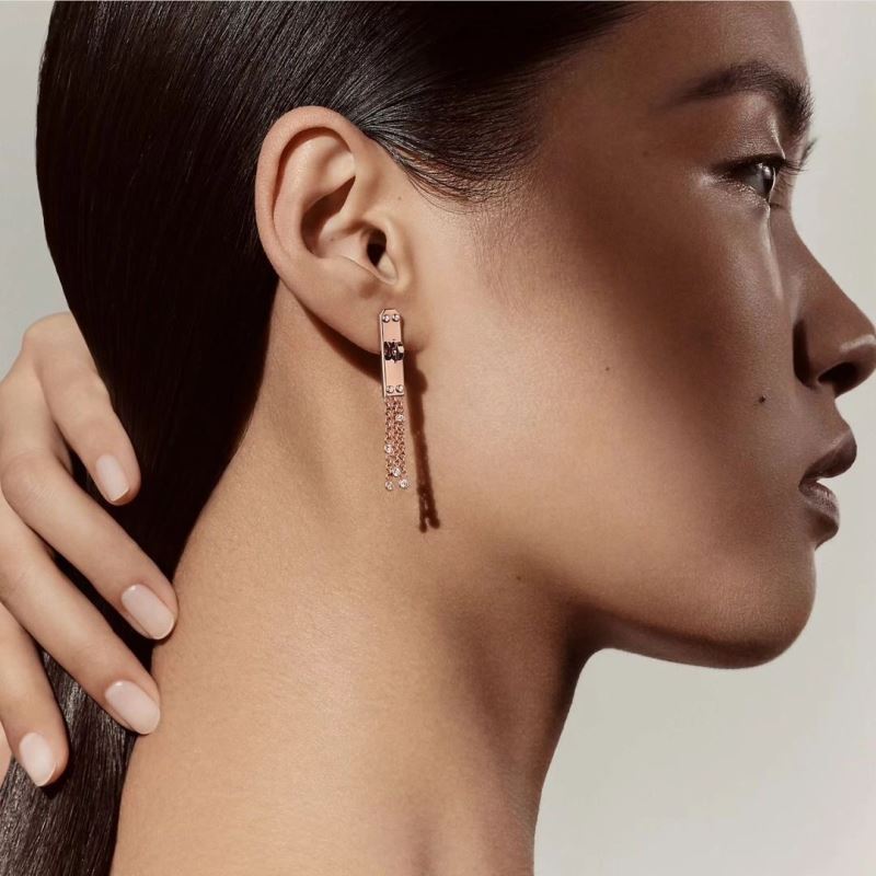 Hermes Earrings